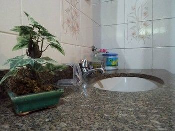 Pousada Canoa Da Praia Ангра дос Рейс Екстериор снимка